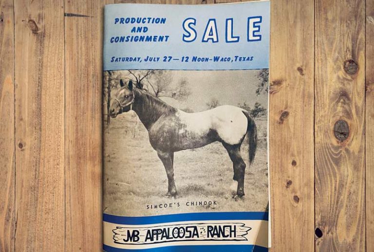 - timeline photos 1963 horse sale