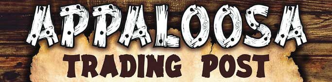 Historic Timeline 14 - timeline photos 1994 rodeo pawn e1778862054654